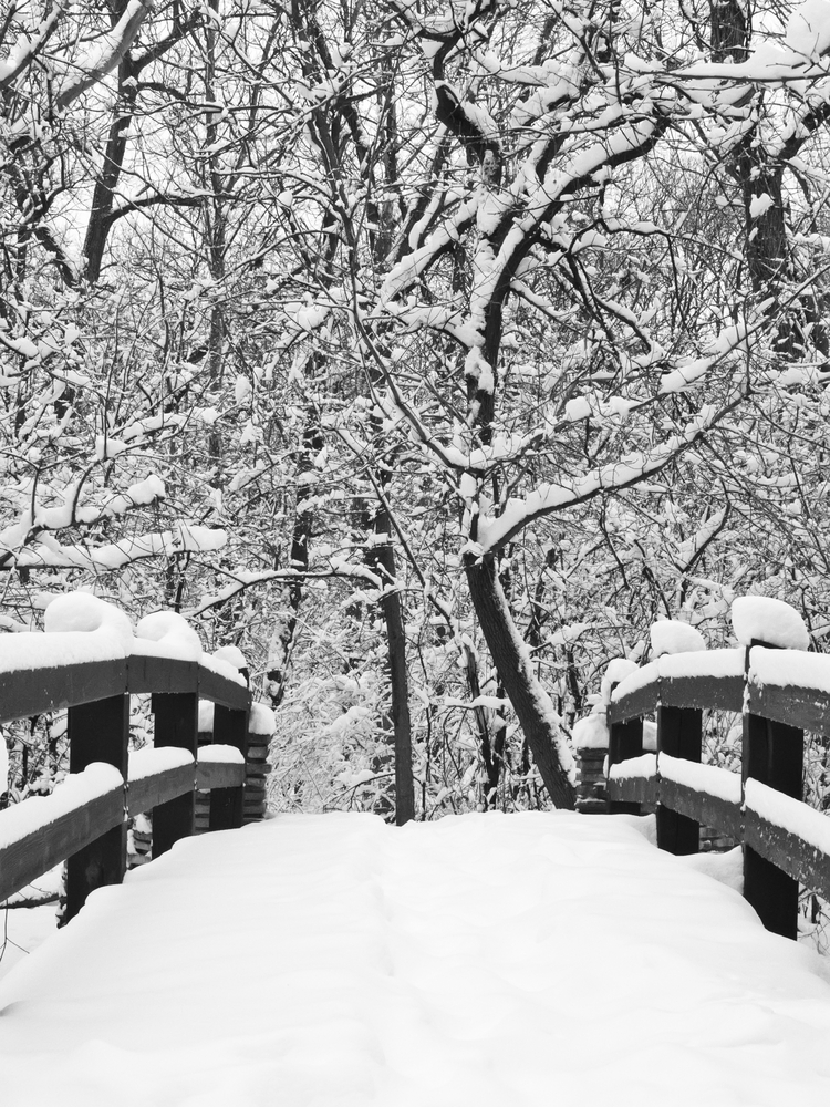 A way to serenity, in black and white Footbridge covered with snow in winter woods, northern Illinois